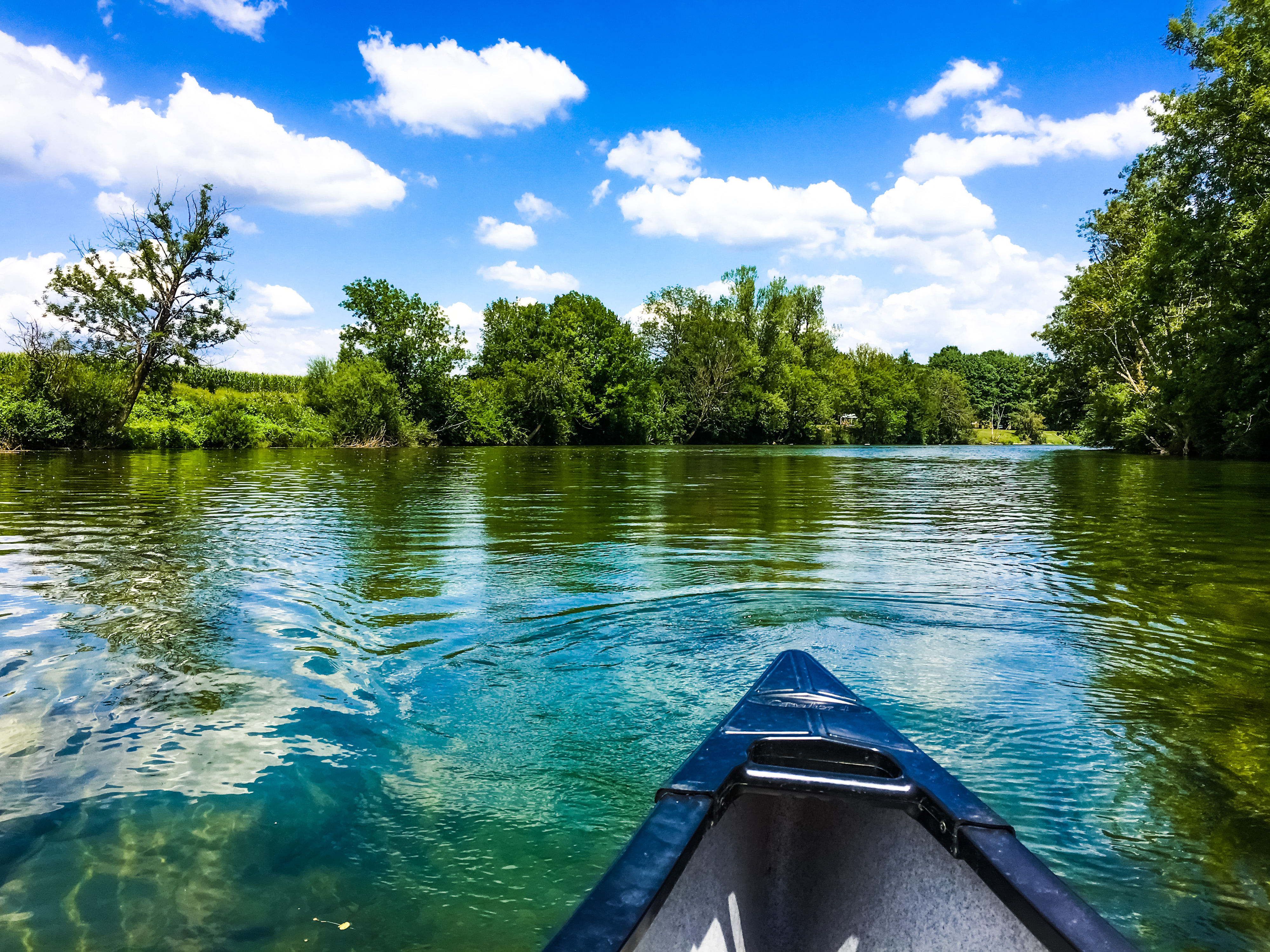 23746321698_ffef95261c_o